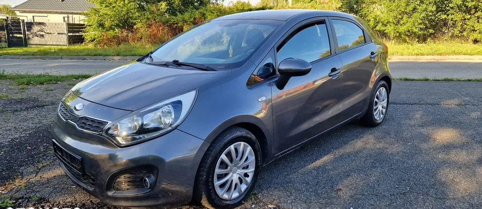 kia śląskie Kia Rio cena 22800 przebieg: 235000, rok produkcji 2013 z Rudnik nad Sanem